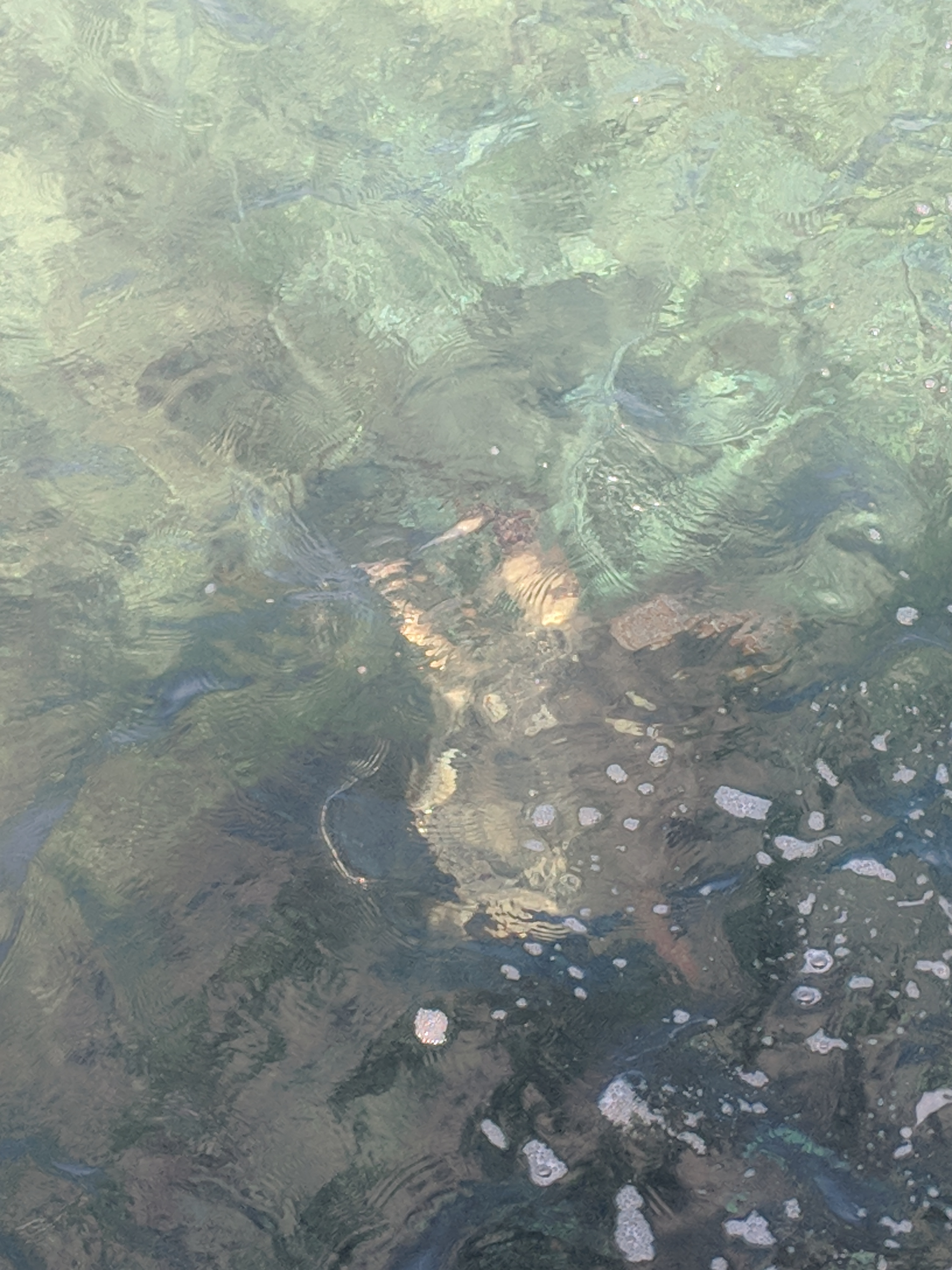 MVIMG_20181009_132208